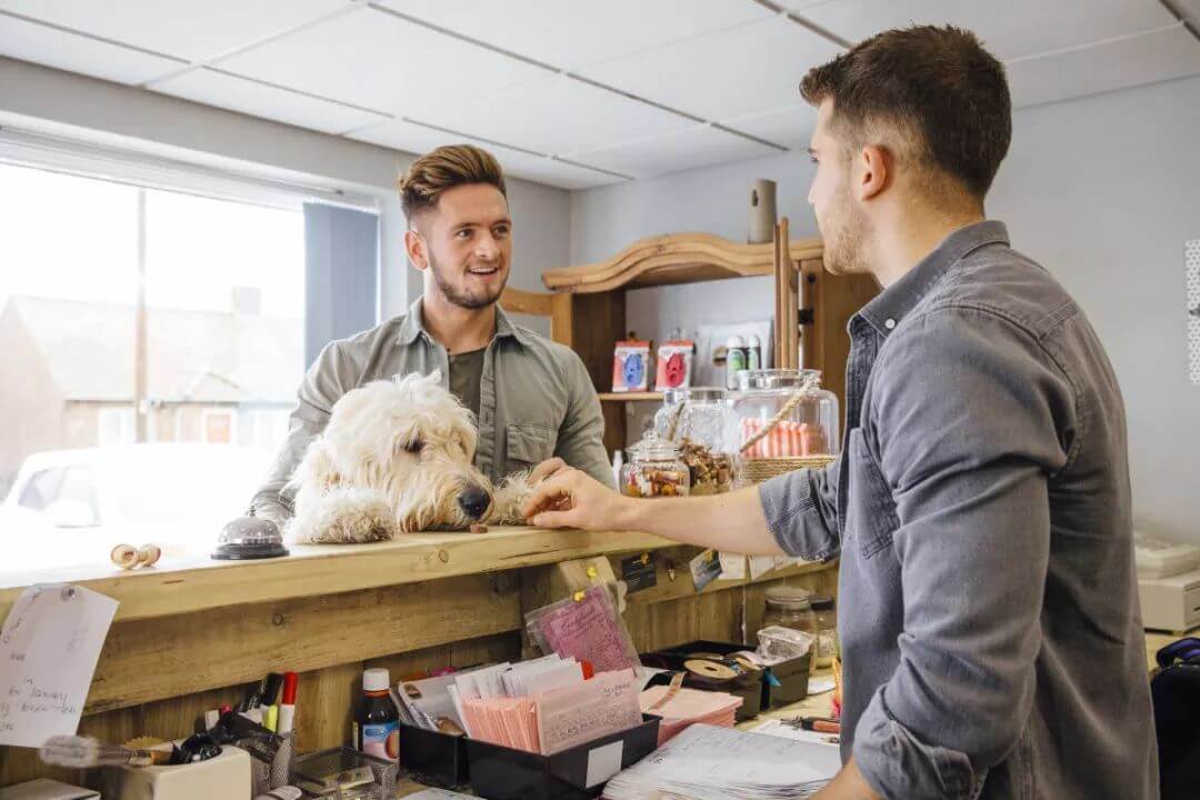 quer-ter-destaque-no-seu-pet-shop-o-marketing-digital-pode-superar-a-concorrencia Quer ter destaque no seu pet shop? O marketing digital pode superar a concorrência